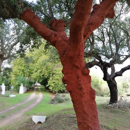 Monte Do Serrado De Baixo Evora Bagian luar foto